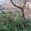  Annonces MONTELIMAR : Terrain | LE TEIL (07400) | 0 m2 | 85 000 &euro; 