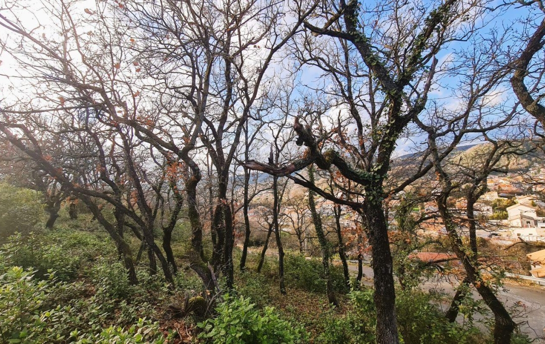 Annonces MONTELIMAR : Terrain | LE TEIL (07400) | 0 m2 | 85 000 &euro; 