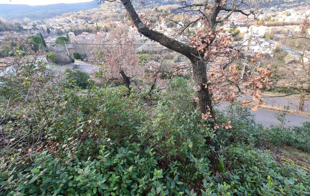 Annonces MONTELIMAR : Terrain | LE TEIL (07400) | 0 m2 | 85 000 &euro; 