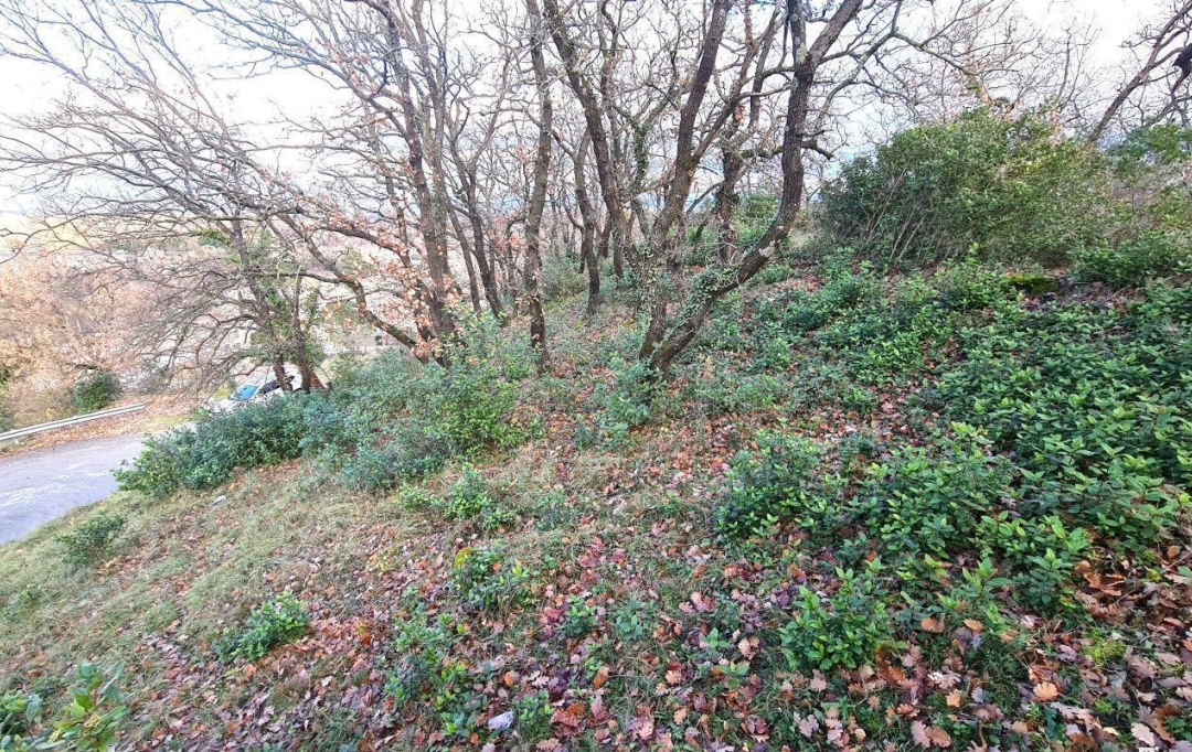 Annonces MONTELIMAR : Terrain | LE TEIL (07400) | 0 m2 | 85 000 &euro; 