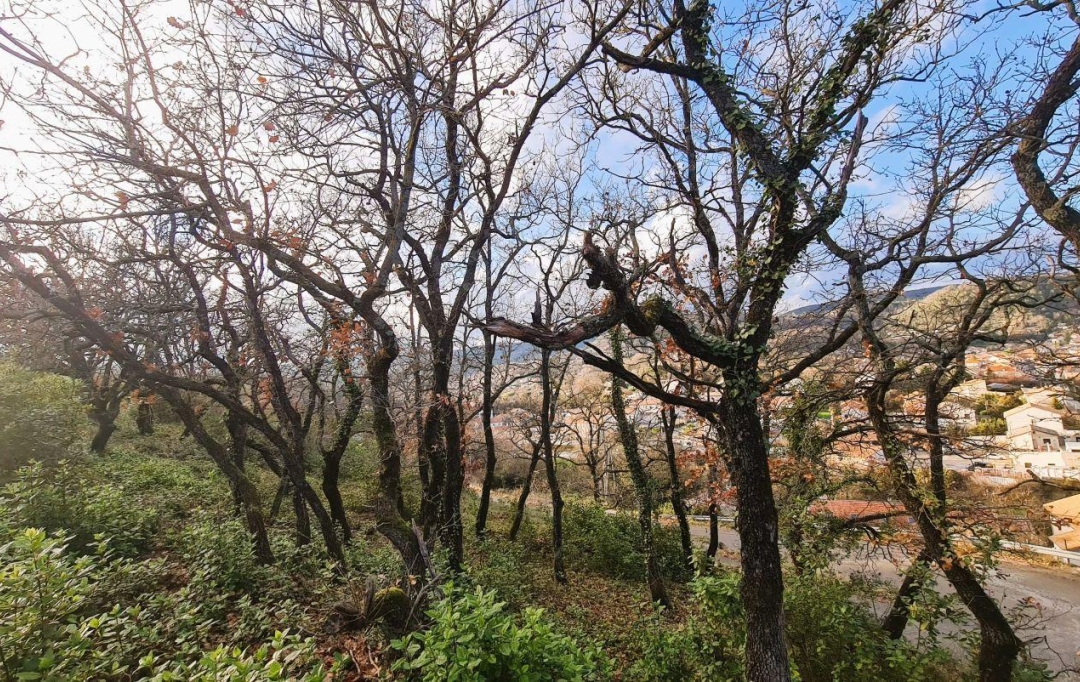 Annonces MONTELIMAR : Terrain | LE TEIL (07400) | 0 m2 | 85 000 &euro; 