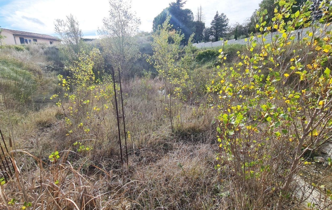 Annonces MONTELIMAR : Terrain | MALATAVERNE (26780) | 0 m2 | 95 000 &euro; 